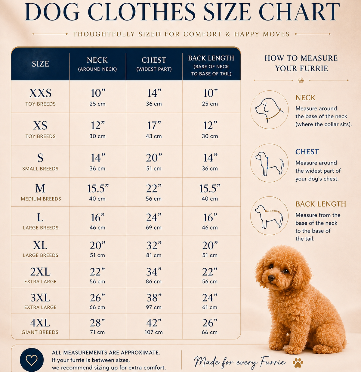 Milk Froth Pet Shirt - Muslin Cotton