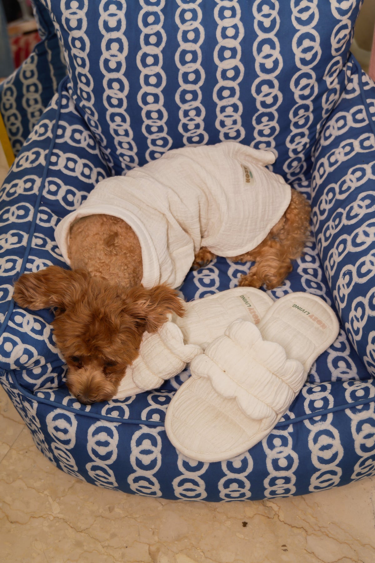 Milk Froth Pet Shirt - Muslin Cotton